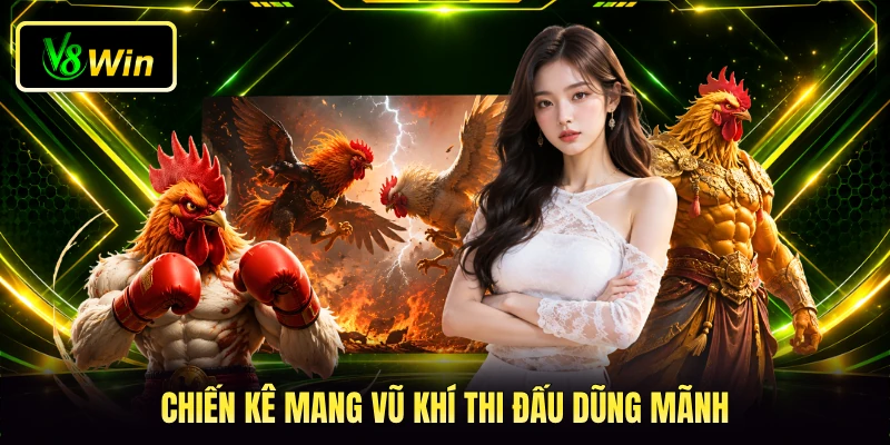Đá Gà Trực Tiếp V8WIN - Đấu Trường Kê Chiến Châu Á 3 Chiến kê mang vũ khí thi đấu dũng mãnh